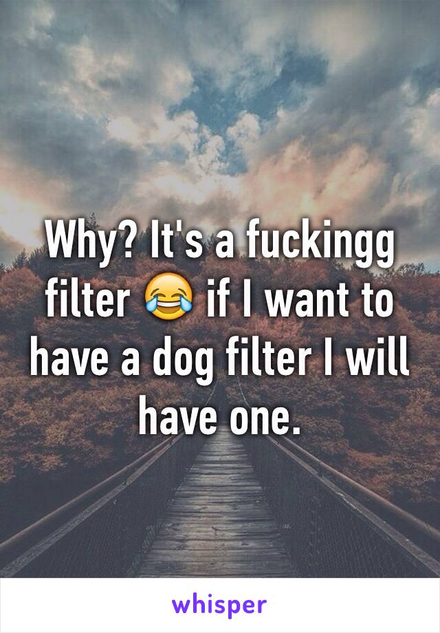 Why? It's a fuckingg filter 😂 if I want to have a dog filter I will  have one. 