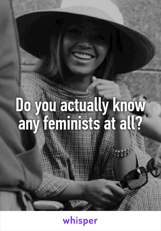 Do you actually know any feminists at all?