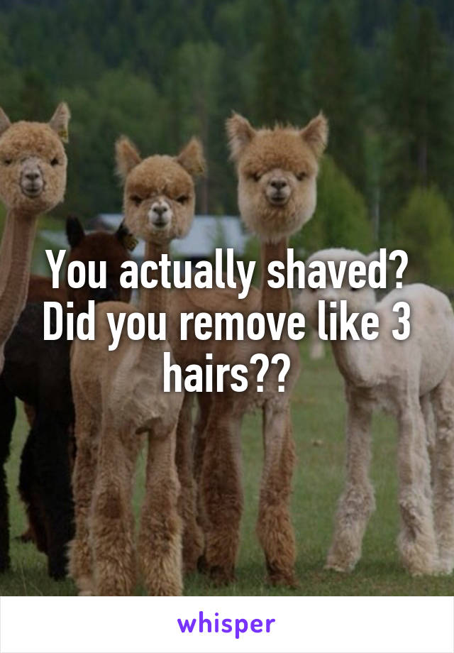 You actually shaved? Did you remove like 3 hairs??