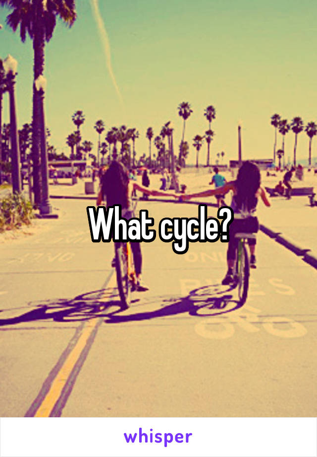 What cycle?