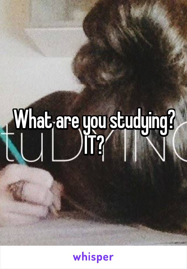 What are you studying? IT?