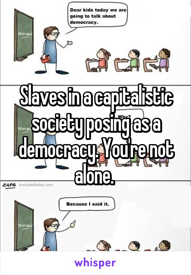 Slaves in a capitalistic society posing as a democracy. You're not alone. 