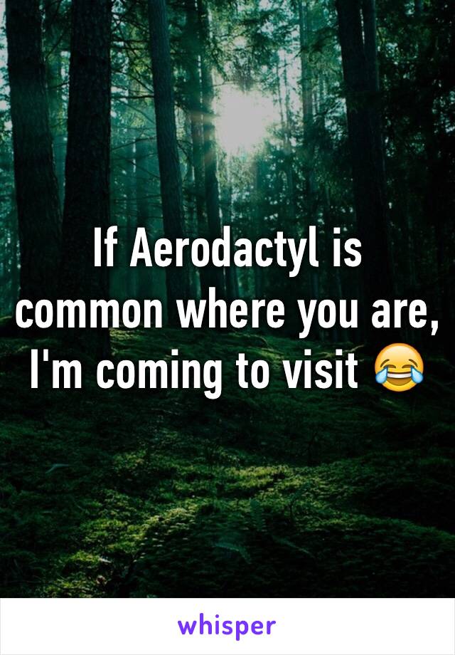 If Aerodactyl is common where you are, I'm coming to visit 😂