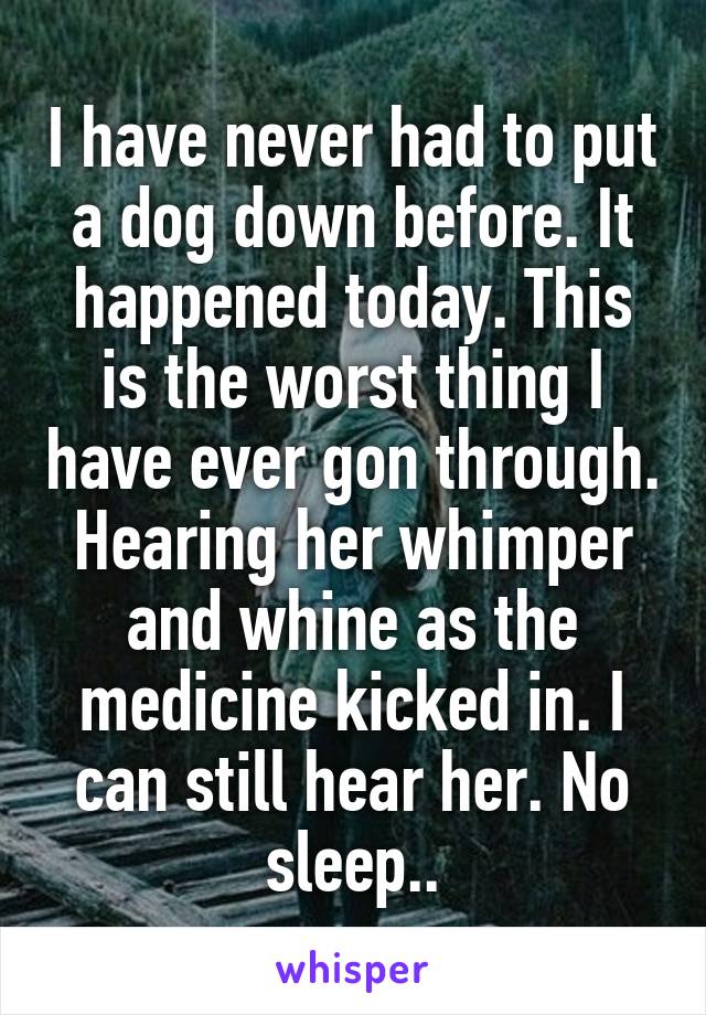 I have never had to put a dog down before. It happened today. This is the worst thing I have ever gon through. Hearing her whimper and whine as the medicine kicked in. I can still hear her. No sleep..