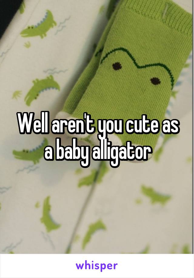 Well aren't you cute as a baby alligator