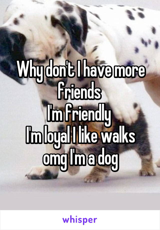 Why don't I have more friends 
I'm friendly 
I'm loyal I like walks omg I'm a dog