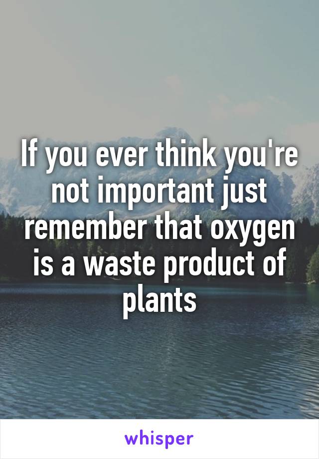 If you ever think you're not important just remember that oxygen is a waste product of plants