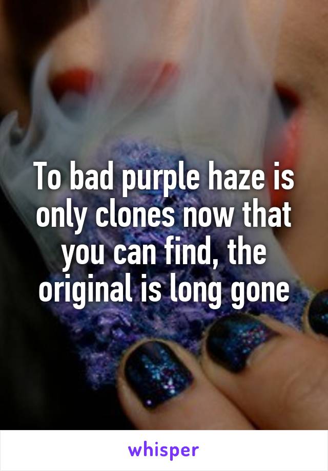 To bad purple haze is only clones now that you can find, the original is long gone