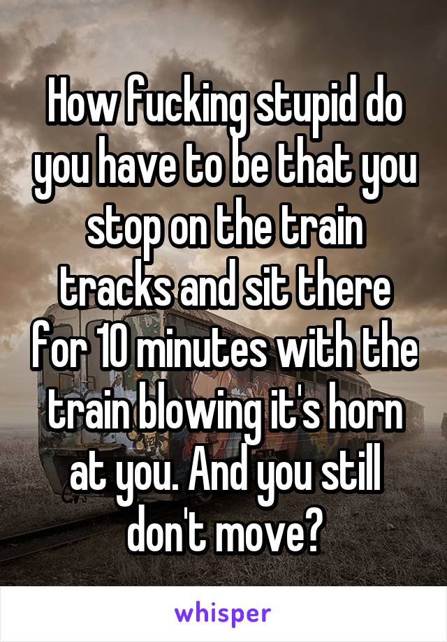 How fucking stupid do you have to be that you stop on the train tracks and sit there for 10 minutes with the train blowing it's horn at you. And you still don't move?