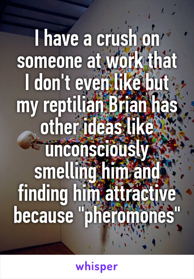 I have a crush on someone at work that I don't even like but my reptilian Brian has other ideas like unconsciously smelling him and finding him attractive because "pheromones" 