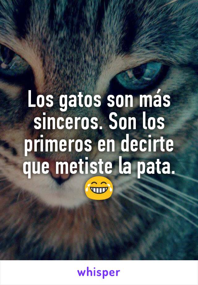 Los gatos son más sinceros. Son los primeros en decirte que metiste la pata.
😂