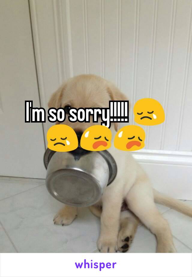 I'm so sorry!!!!! 😢😢😥😥