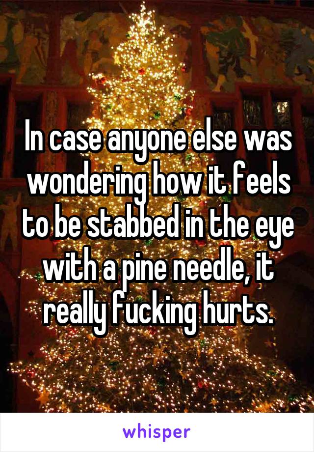 In case anyone else was wondering how it feels to be stabbed in the eye with a pine needle, it really fucking hurts.