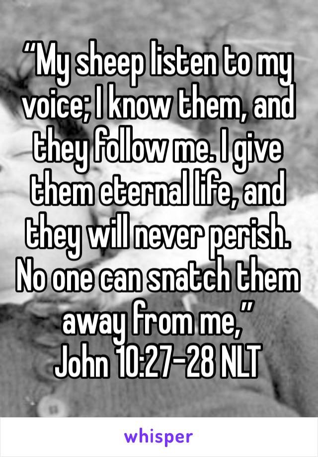 “My sheep listen to my voice; I know them, and they follow me. I give them eternal life, and they will never perish. No one can snatch them away from me,”
‭‭John‬ ‭10:27-28‬ ‭NLT‬‬
