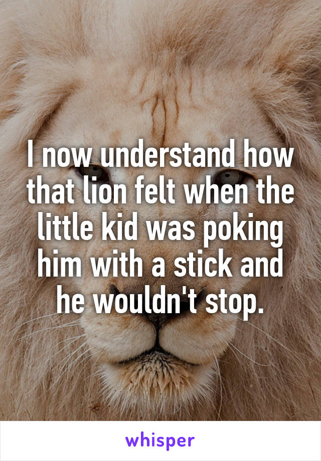 I now understand how that lion felt when the little kid was poking him with a stick and he wouldn't stop.