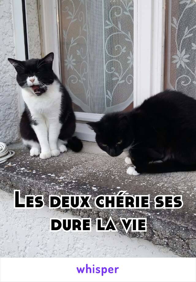 Les deux chérie ses dure la vie