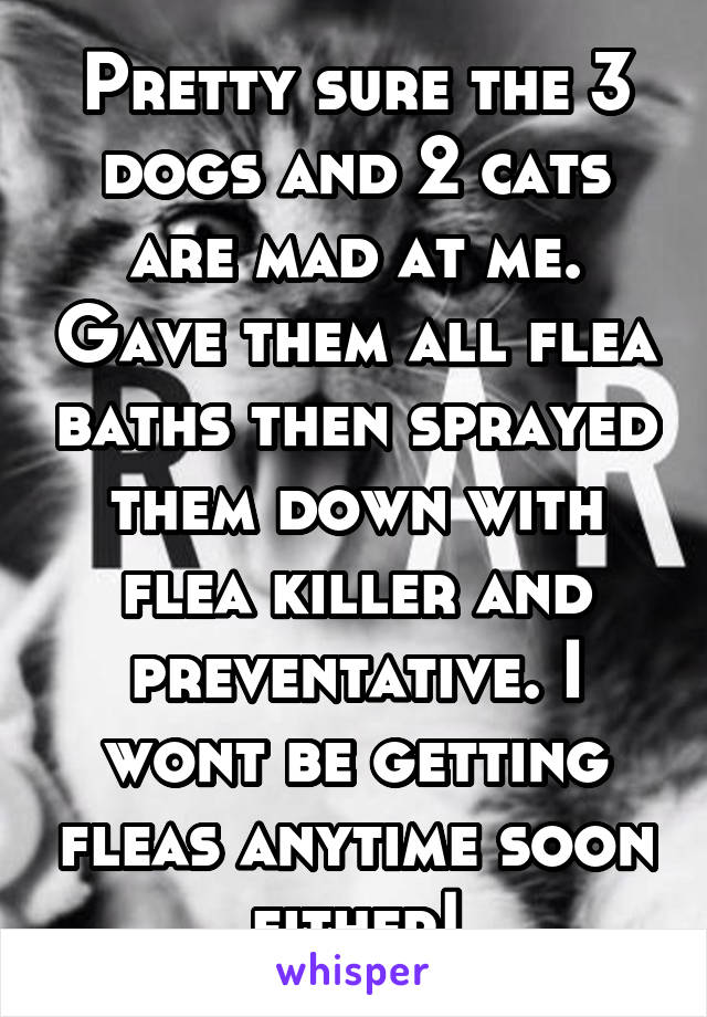 Pretty sure the 3 dogs and 2 cats are mad at me. Gave them all flea baths then sprayed them down with flea killer and preventative. I wont be getting fleas anytime soon either!