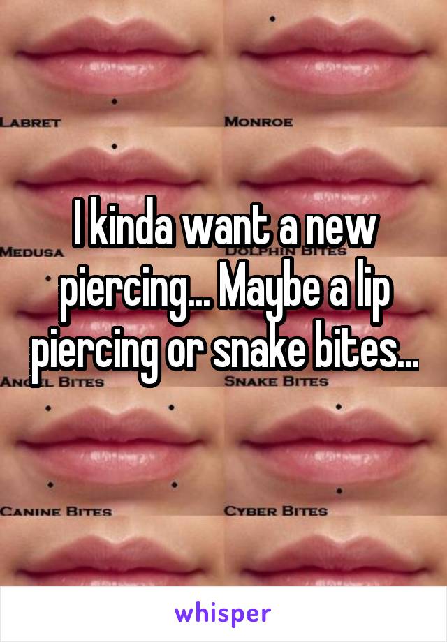 I kinda want a new piercing... Maybe a lip piercing or snake bites... 