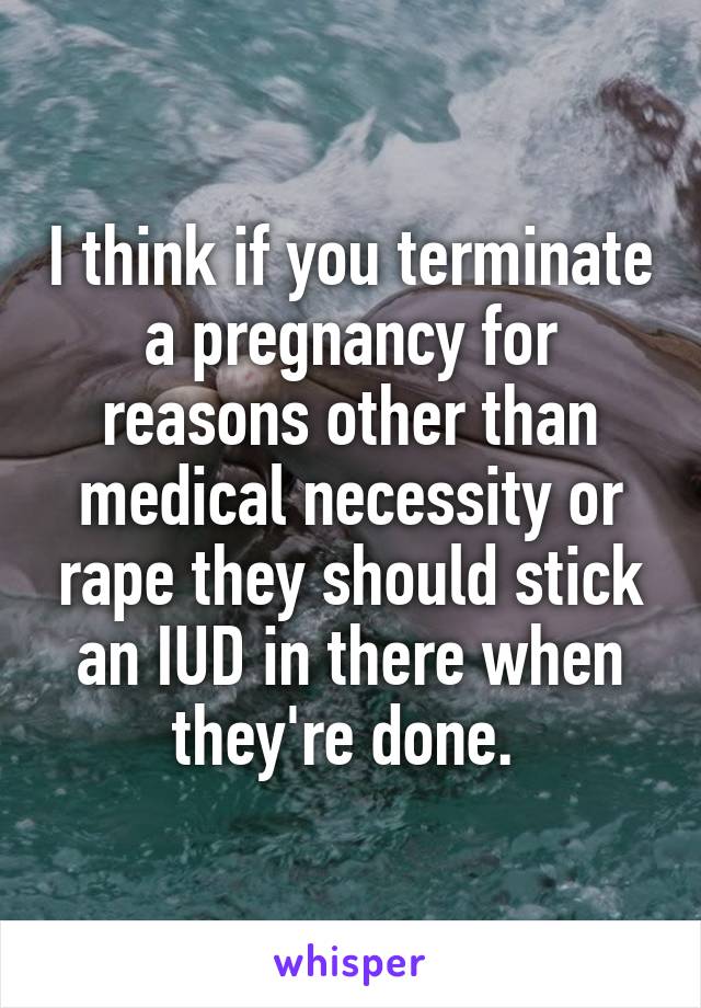 I think if you terminate a pregnancy for reasons other than medical necessity or rape they should stick an IUD in there when they're done. 