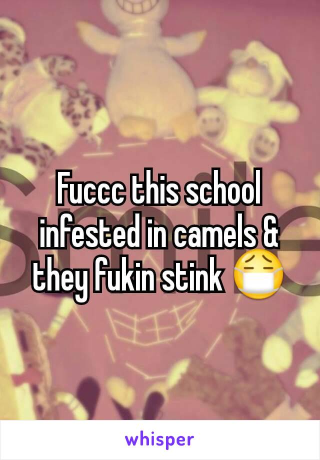 Fuccc this school infested in camels & they fukin stink 😷