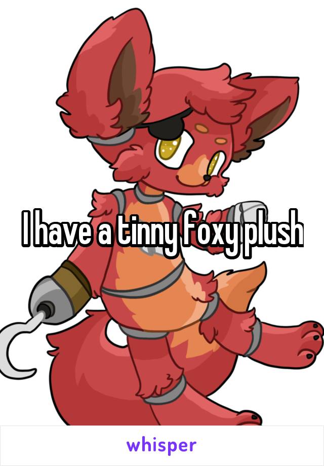 I have a tinny foxy plush