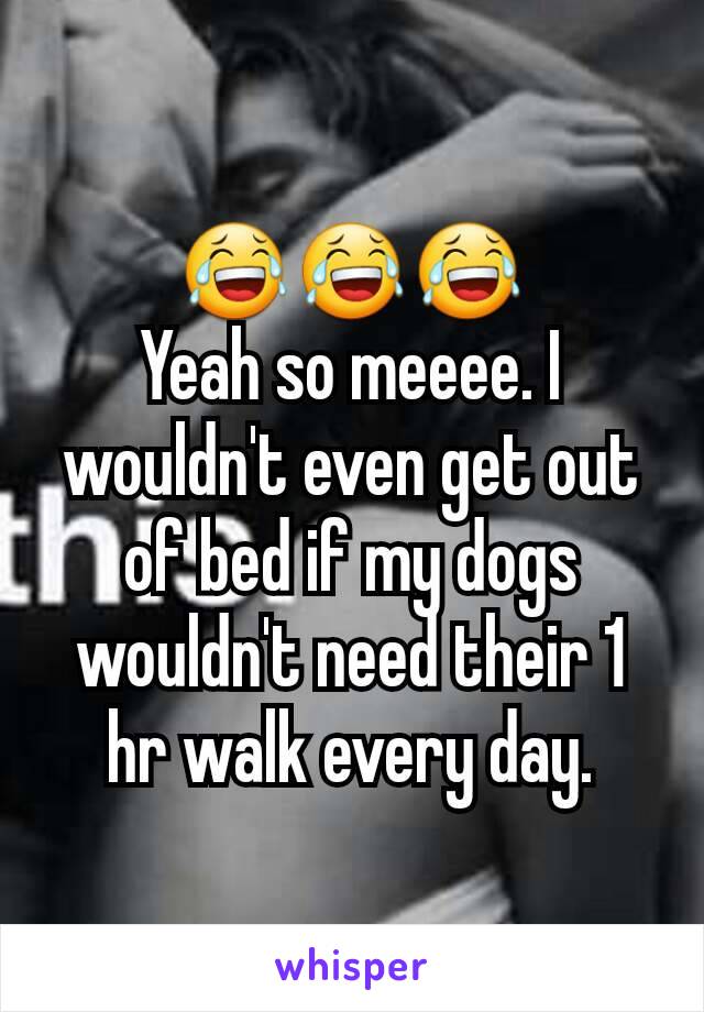 😂😂😂
Yeah so meeee. I wouldn't even get out of bed if my dogs wouldn't need their 1 hr walk every day.