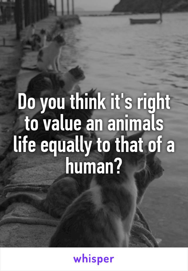 Do you think it's right to value an animals life equally to that of a human?