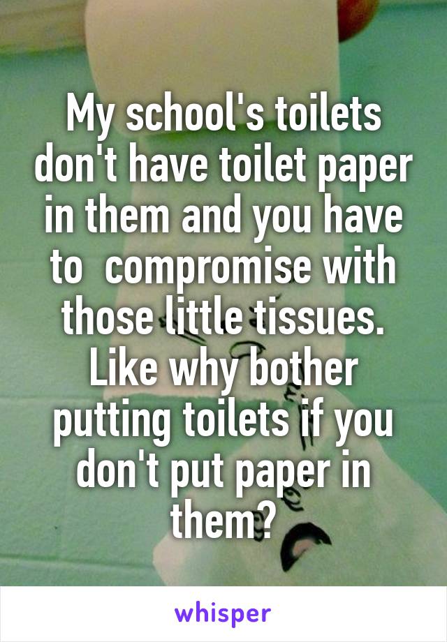 My school's toilets don't have toilet paper in them and you have to  compromise with those little tissues.
Like why bother putting toilets if you don't put paper in them?