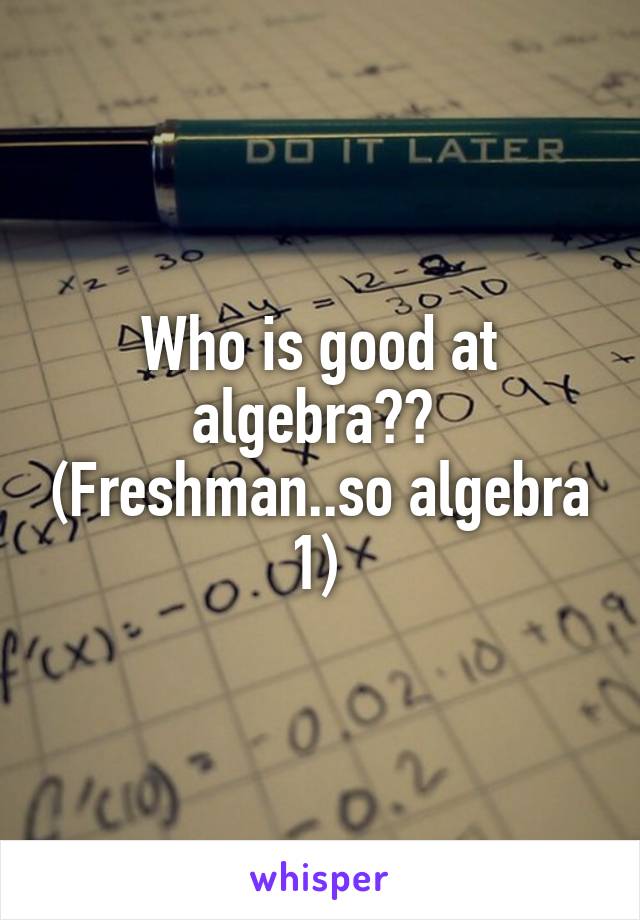 Who is good at algebra??  (Freshman..so algebra 1) 