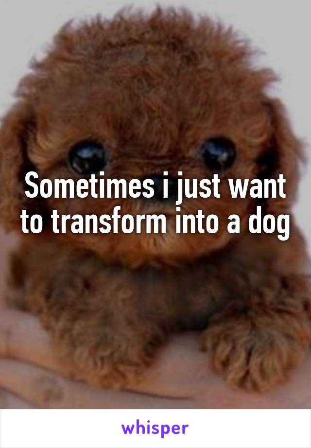 Sometimes i just want to transform into a dog 