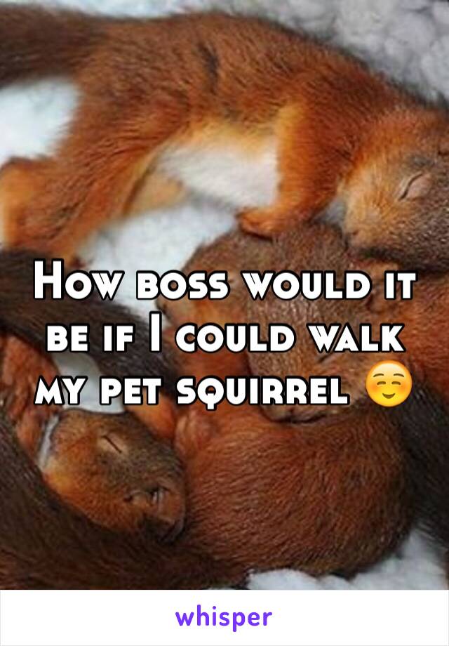 How boss would it be if I could walk my pet squirrel ☺ 