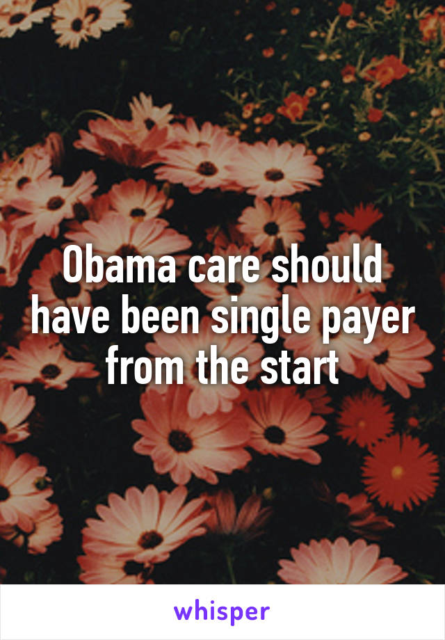 Obama care should have been single payer from the start