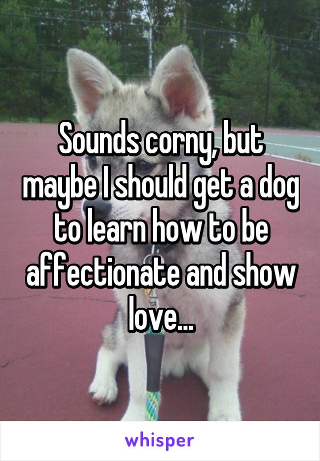 Sounds corny, but maybe I should get a dog to learn how to be affectionate and show love...