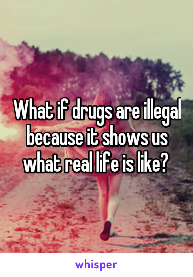 What if drugs are illegal because it shows us what real life is like? 