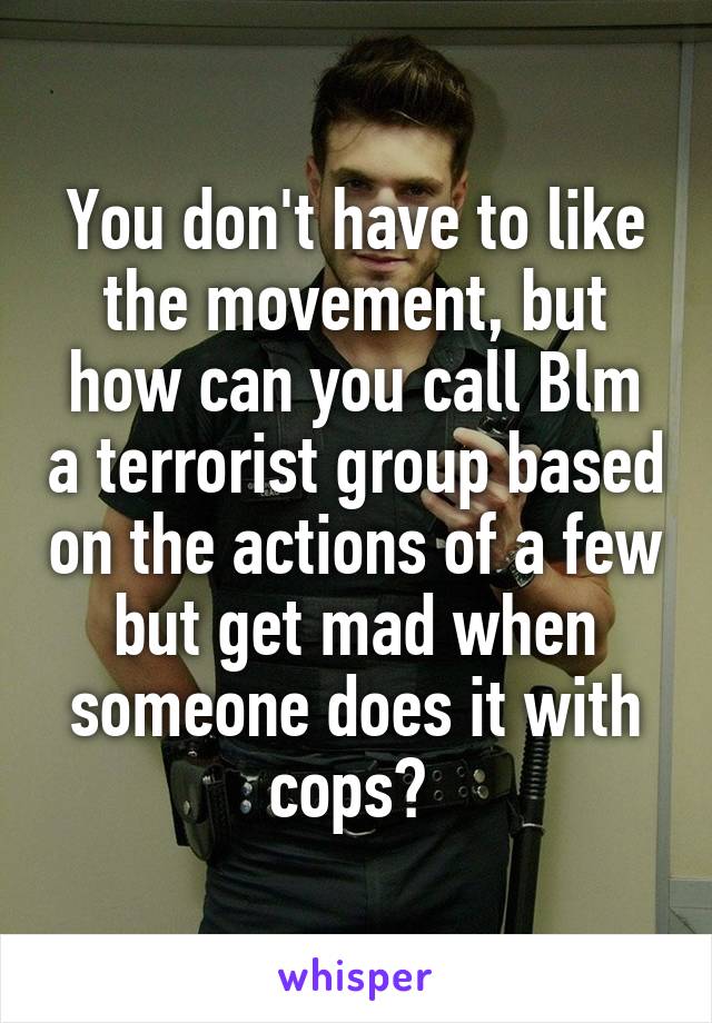 You don't have to like the movement, but how can you call Blm a terrorist group based on the actions of a few but get mad when someone does it with cops? 