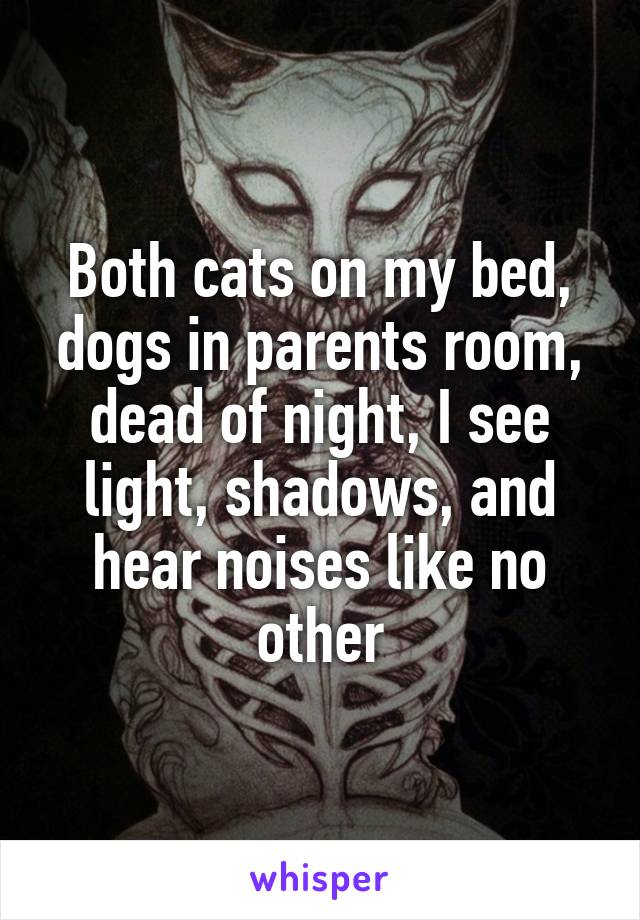 Both cats on my bed, dogs in parents room, dead of night, I see light, shadows, and hear noises like no other