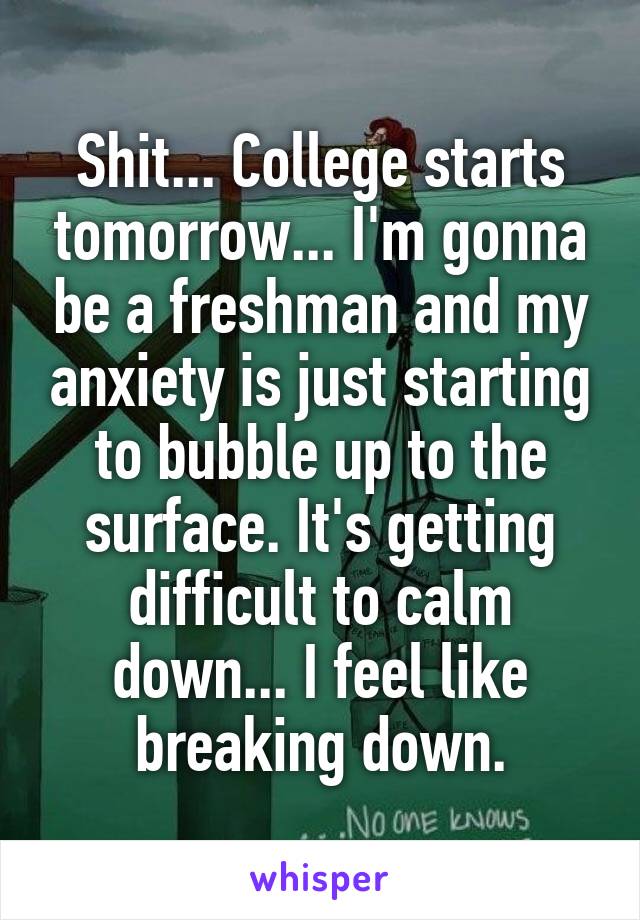 Shit... College starts tomorrow... I'm gonna be a freshman and my anxiety is just starting to bubble up to the surface. It's getting difficult to calm down... I feel like breaking down.