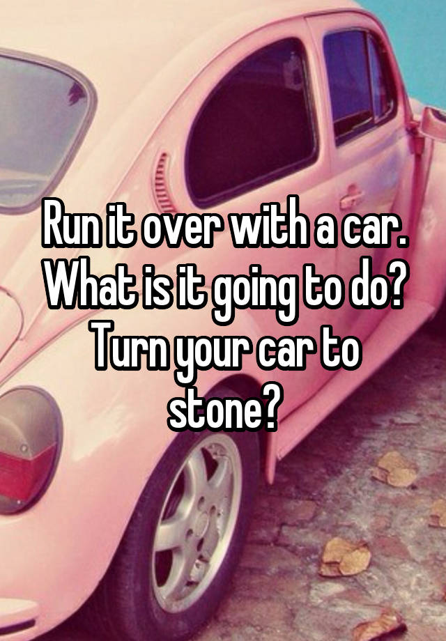 run-it-over-with-a-car-what-is-it-going-to-do-turn-your-car-to-stone