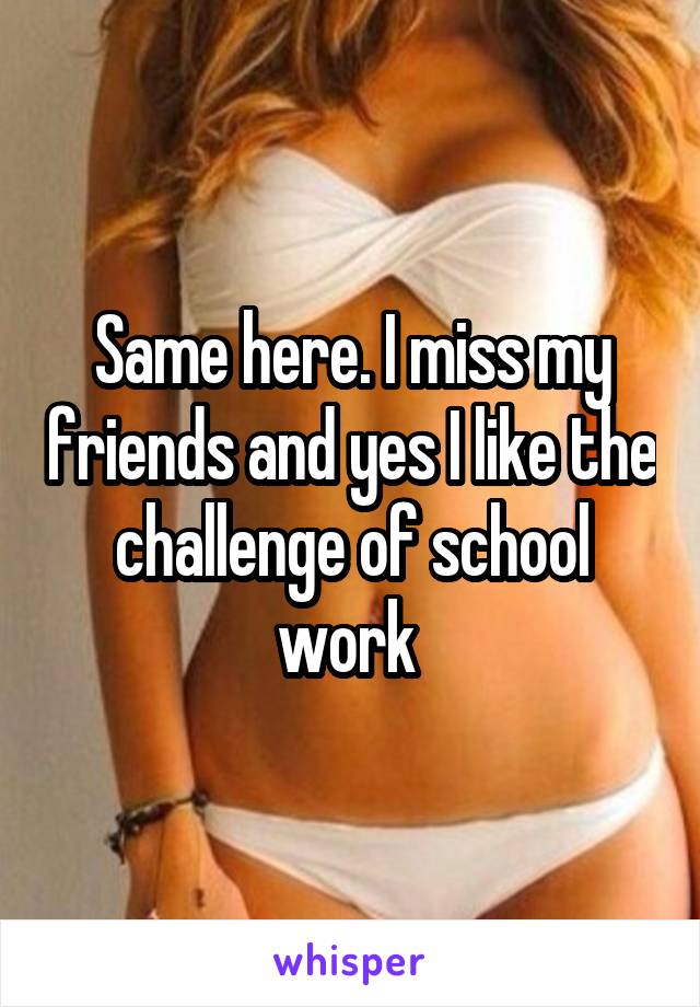 Same here. I miss my friends and yes I like the challenge of school work 