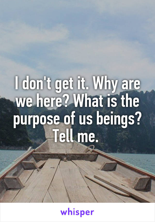 I don't get it. Why are we here? What is the purpose of us beings? Tell me. 