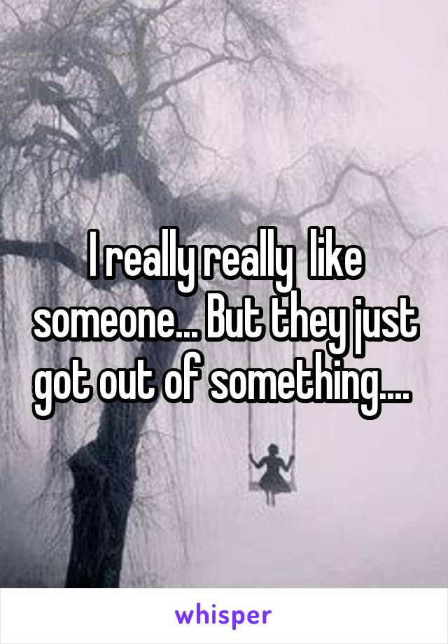 I really really  like someone... But they just got out of something.... 