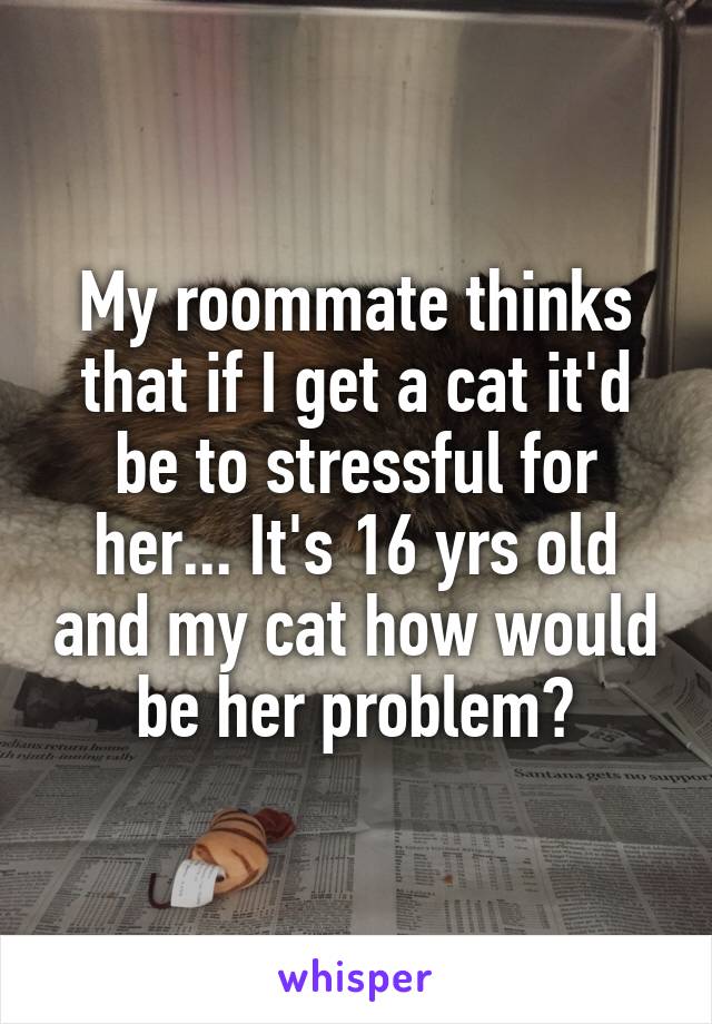 My roommate thinks that if I get a cat it'd be to stressful for her... It's 16 yrs old and my cat how would be her problem?