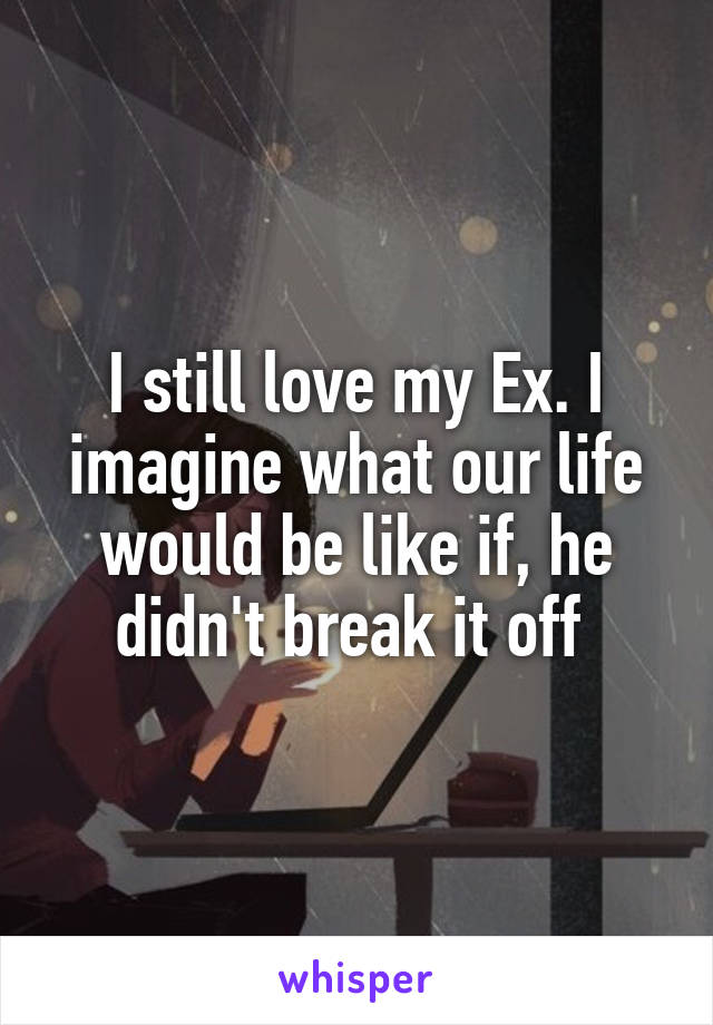 I still love my Ex. I imagine what our life would be like if, he didn't break it off 