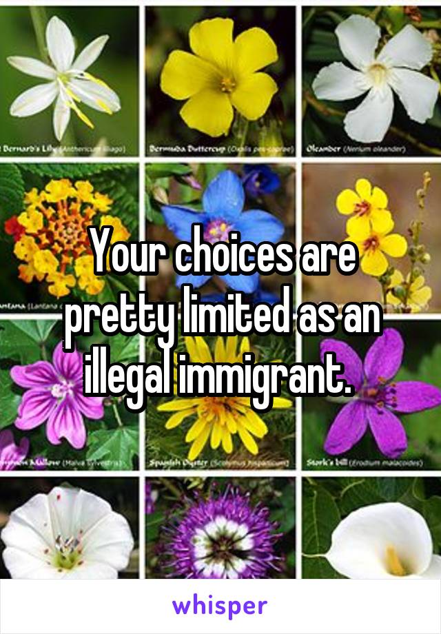 Your choices are pretty limited as an illegal immigrant. 