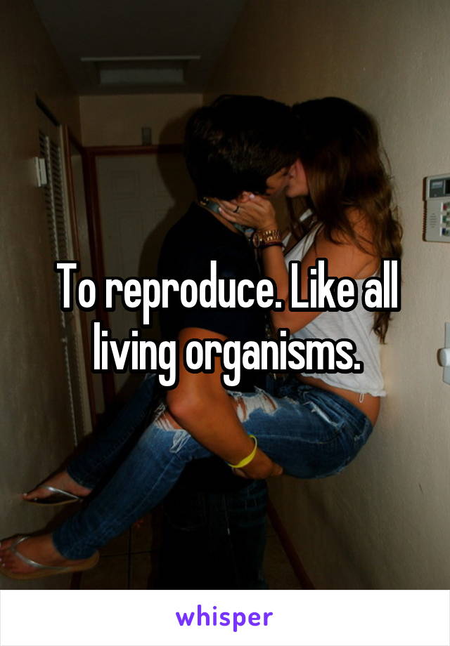 To reproduce. Like all living organisms.