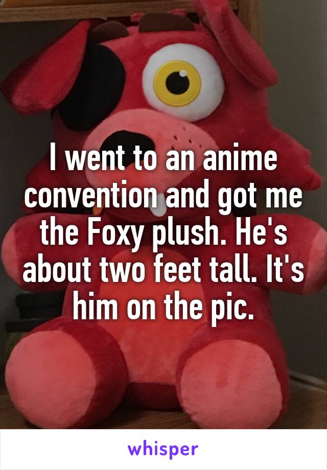 I went to an anime convention and got me the Foxy plush. He's about two feet tall. It's him on the pic.