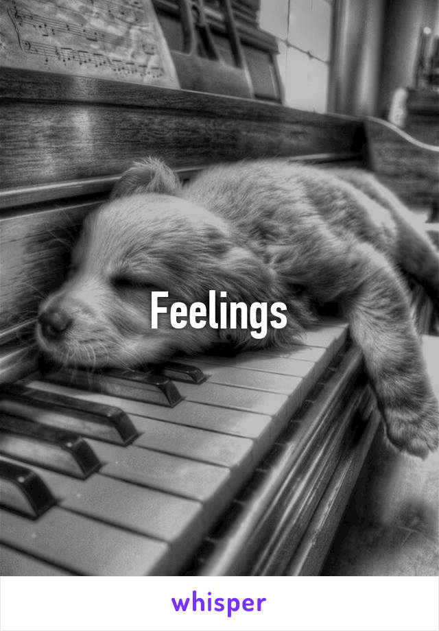 Feelings