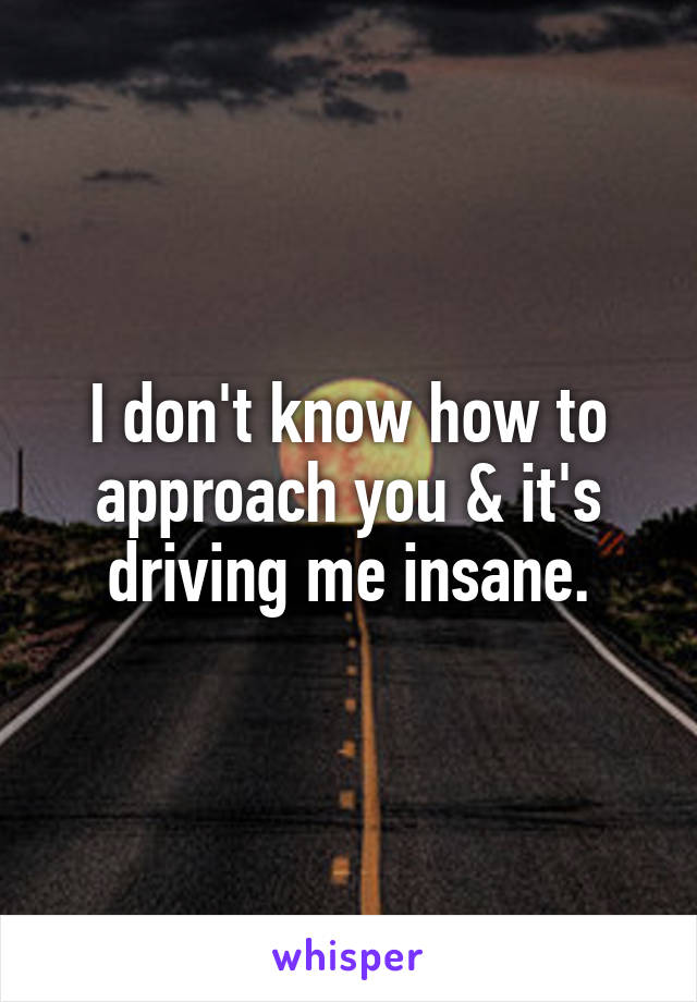 I don't know how to approach you & it's driving me insane.