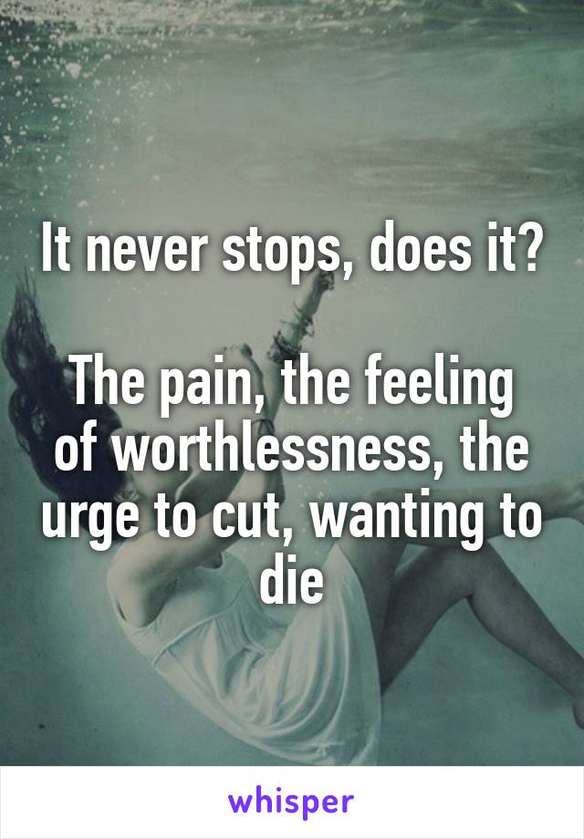 It never stops, does it?

The pain, the feeling of worthlessness, the urge to cut, wanting to die