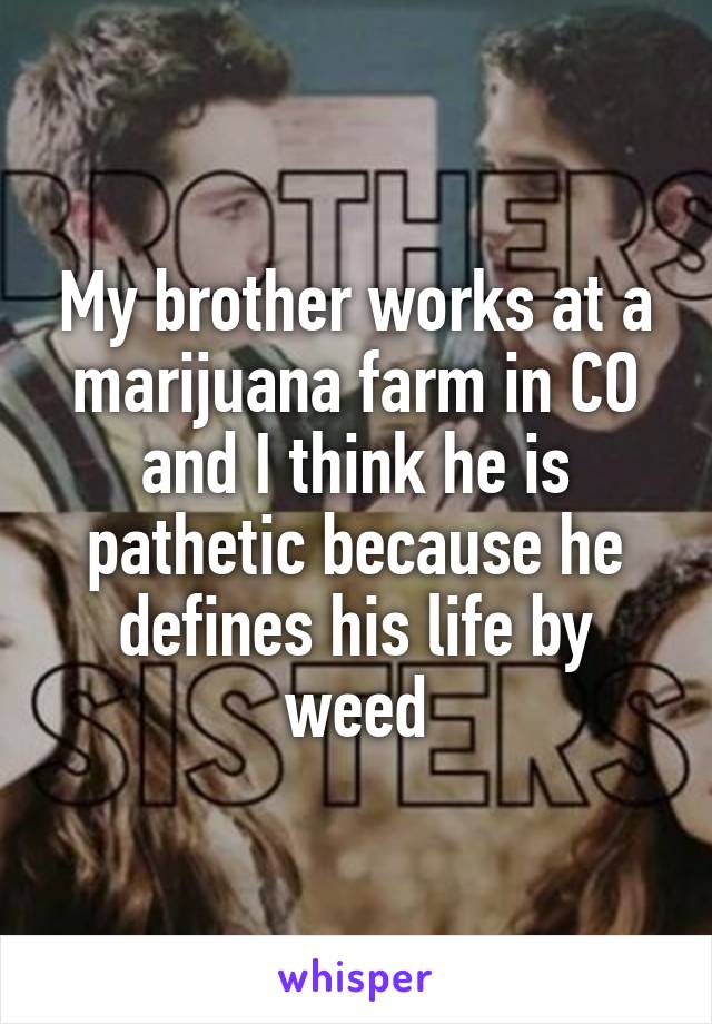 My brother works at a marijuana farm in CO and I think he is pathetic because he defines his life by weed